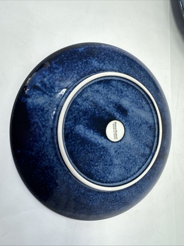 World Market Cherry Blossom 2 Japanese Stoneware Dinner Plates Mottled Blue XLNT - Picture 5 of 8