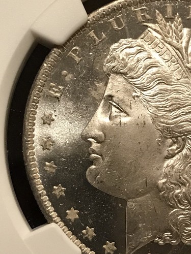 1884 O $1 NGC Graded MS 65 DPL Morgan Silver Dollar 5742301-005 New Orleans Mint - Picture 7 of 16