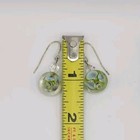 Picture 6 of 6