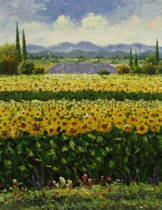 Sunflower-Fields-Original-Landscape-Oil-Painting-on-Canvas-Artwork-26-034-x-34-034