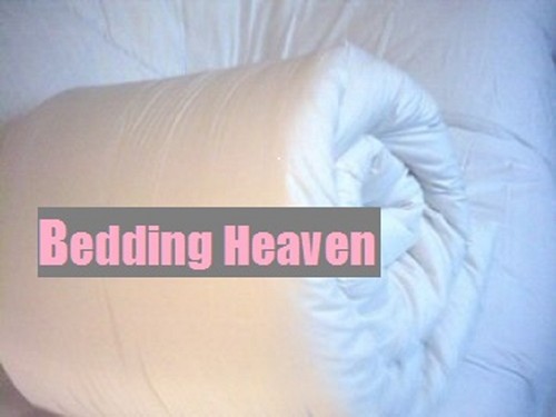 13.5 tog ALL SEASONS SIBERIAN GOOSE FEATHER & DOWN KING SIZE DUVET. 13.5 tog ALL SEASONS SIBERIAN GOOSE FEATHER & DOWN KING SIZE DUVET.