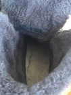 Picture 8 of 8