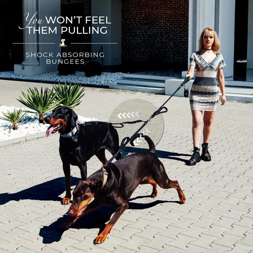 Shock-Absorbing Dual Dog Leash for Medium & Large Breeds – Adjustable Length - Picture 5 of 8