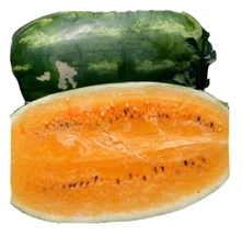 20 Tendersweet Orange Watermelon Seeds |  Very Sweet | NON-GMO, Heirloom.