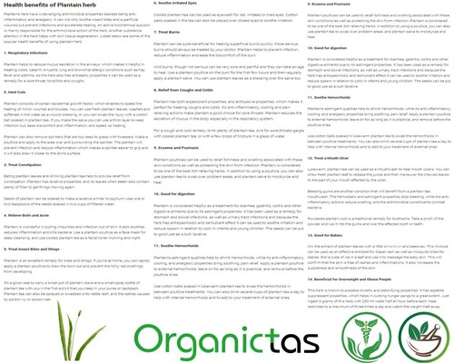 Té de hoja de plátano orgánico - beneficios para la salud de la piel, alergias y otros usos - Imagen 3 de 12