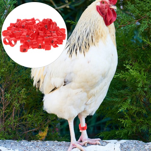 100Pcs Pigeon Identification Rings Leg Bands for Racing and Pigeons Markers - Bild 2 von 14