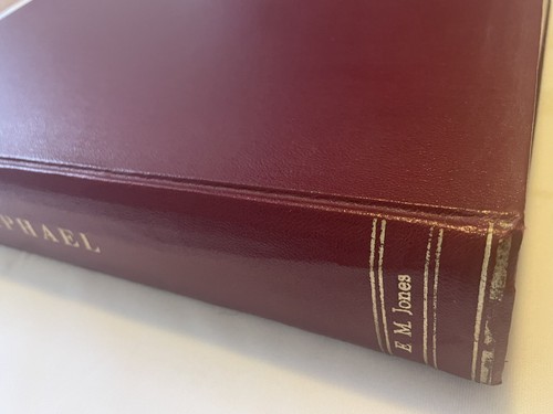 The Complete Work of Raphael Hardcover 1969 Istituto Geografico De Agostini - Picture 3 of 11