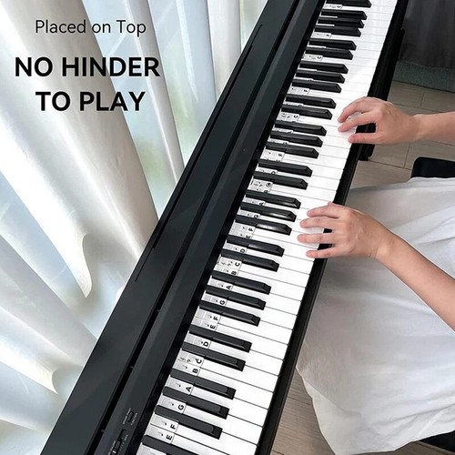Silicone Piano Note Strip Piano Sticker Guide Removable Piano Key Note Str$6 - 第 3/12 張圖片