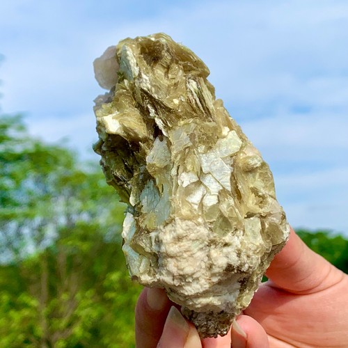 364G Natural Dorado Mica Cristal Racimo Mineral Sanación Roca Muestra Visualización - Imagen 14 de 24