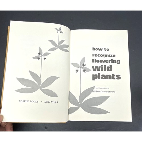 Set of 3: How to Recognize Trees, Shrubs & Flowering Wild Plants by W. C. Grimm - Picture 8 of 13