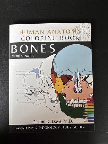 Human Anatomy/Bones Coloring Book
