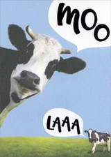 Designer Greetings Moo Laaa Cows Funny / Humorous Birthday Card