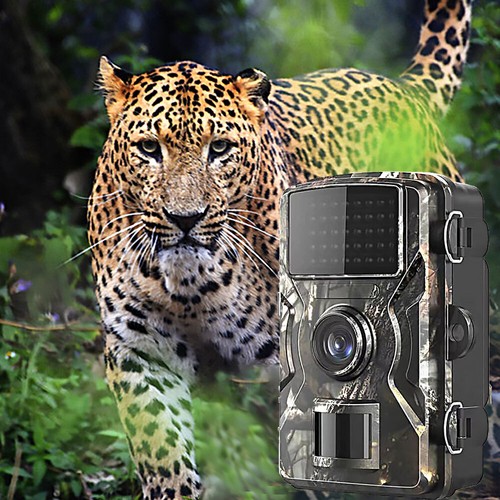 1080P 12MP Trail Wildlife Camera Trap Game Hunting Cam IR Infrared Night VisiVN - Picture 5 of 12