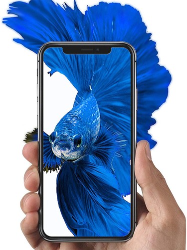Tempered Glass For Huawei Nova 10 SE P50E Enjoy 50z Nova Y61 Nova 10z Mate 50E - Picture 18 of 24