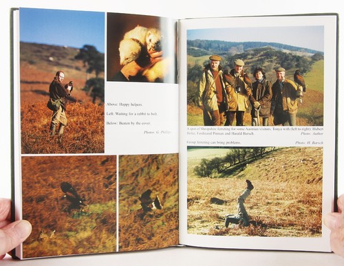 The Complete Rabbit & Hare Hawk by Martin Hollinshead 1999 Ground-Hawking Falcon - Picture 12 of 13
