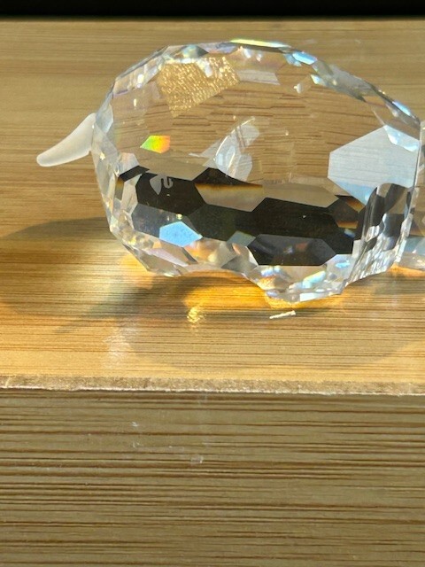 Picture 7 of 7