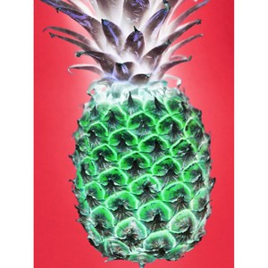 17++ Best Pineapple art wall decor images info