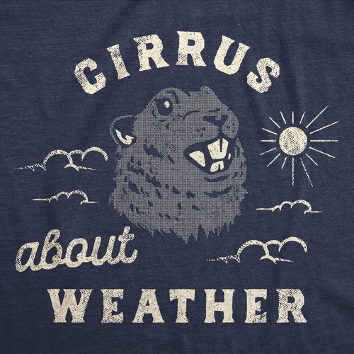 Womens Cirrus About Weather T Shirt Funny Ground Hogs Day Cloudy Shadow Joke Tee - Picture 2 of 7