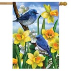Briarwood Lane Bluebirds And Daffodils Spring House Flag