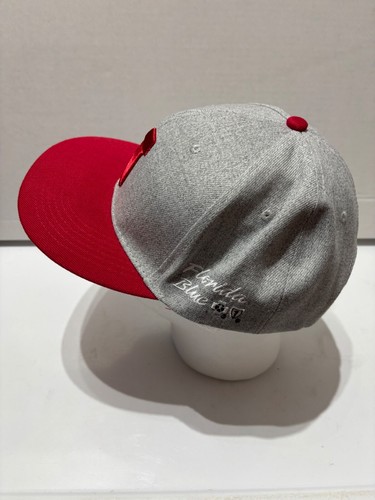Metal Heads Jacksonville Jumbo Shrimp Hat Baseball Cap OSFM SnapBack GrayMILB - Picture 4 of 12