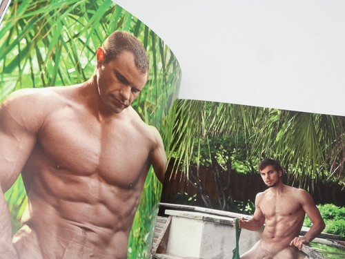 Mark Henderson "Poolside" 2011, Hardcover HC Gay Homoerotik Nude Men Dick Book - Bild 6 von 7