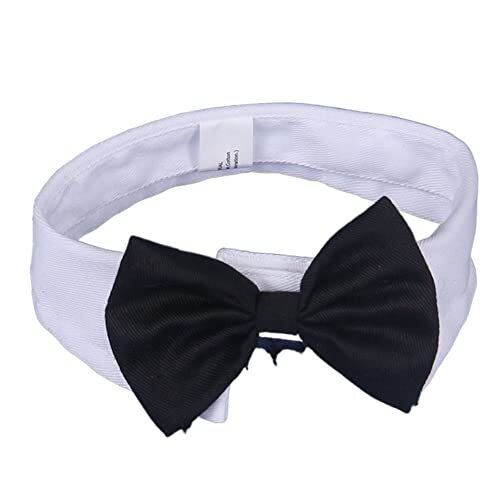 Cat Tuxedo Black Bow Tie Dog Collar,Adjustable Suit Necktie Bows Pet Birthday - Picture 1 of 6