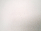 Bild 7 von 13