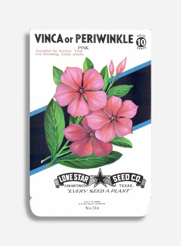 Vintage unbenutzte Samen Päckchen in einem handgefertigten Rahmen Blumen Lone Star American - Bild 65 von 76