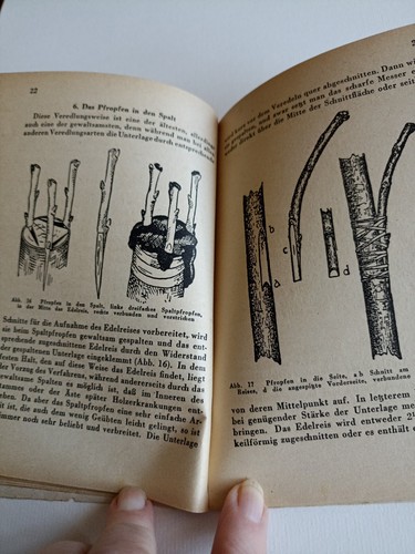 Die wichtigsten Veredlungsarten und ihre Anwendung Band 244 F. R. Thüring, - Bild 4 von 5