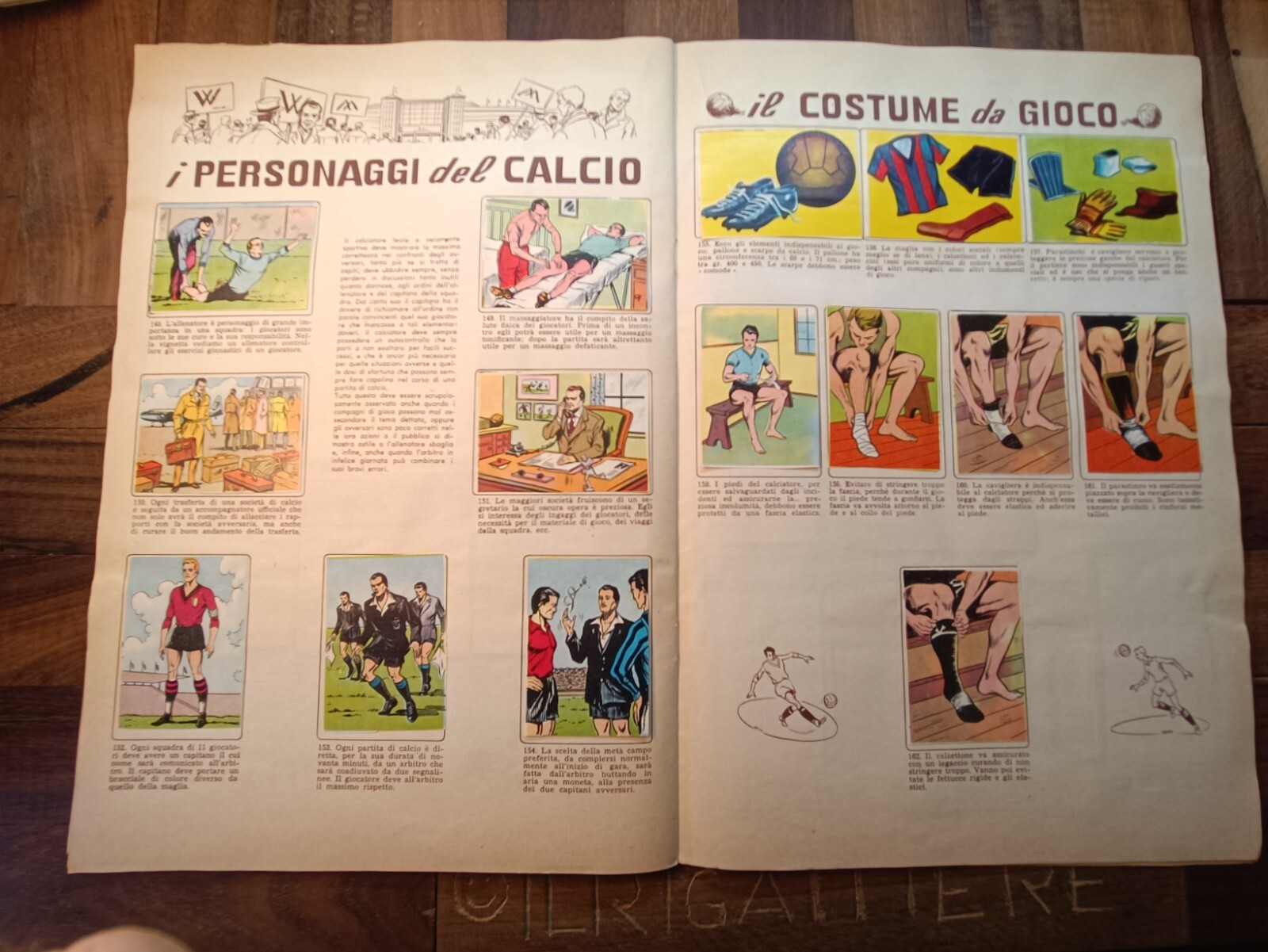 Foto 10 di 15