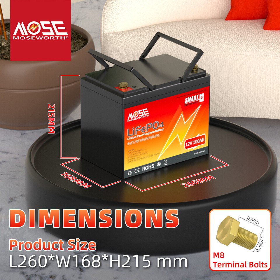 Batteria Al Litio Liontron LiFePO4 Smart BMS Marine Con Monitoraggio Bluetooth 12,8 V 55 Ah 430717 - Foto 10