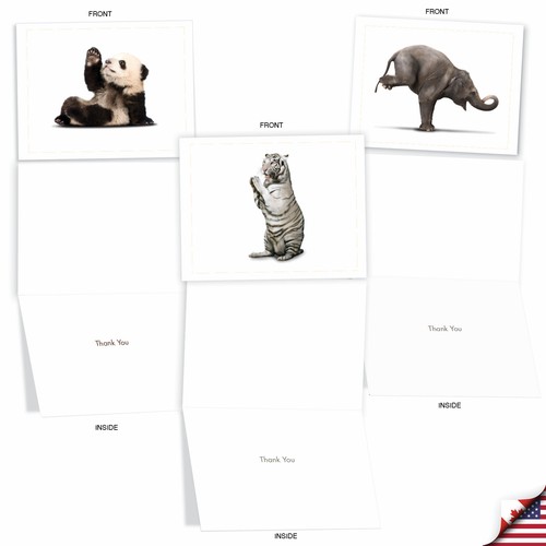 10 Assorted Thank You Note Cards with Envelopes - ZOO YOGA - Picture 4 of 6