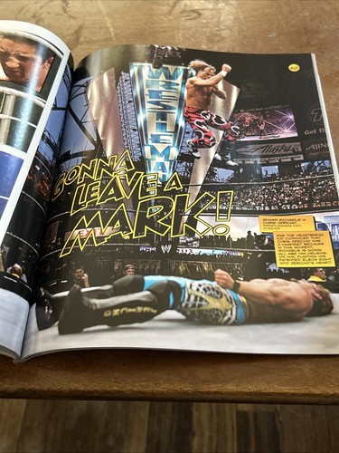 WWE Hardest Hitting Photos of All Time" - 第 3/3 張圖片
