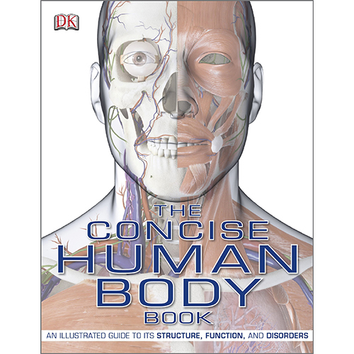 Concise Book of Muscles and Concise Human Body Book 2 Books Collection Set NEW - Picture 2 of 3