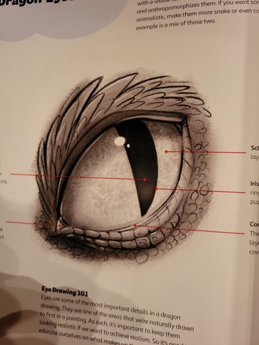 Dragon Draw Learn to Paint Draw and Design Dragons Book Piper Thibideau EUC - Picture 6 of 6