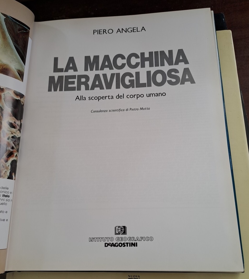 Foto 6 di 15