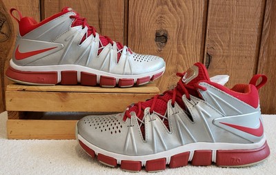 nike free trainer 4.0 silver