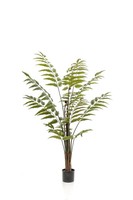 Kunstpflanze - Rumohra Adiantiformis - Lederfarn - 150 Cm KüNstliche Pflanze