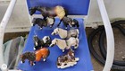 Cheval Breyer Horses Miscellaneous Lot Of 10