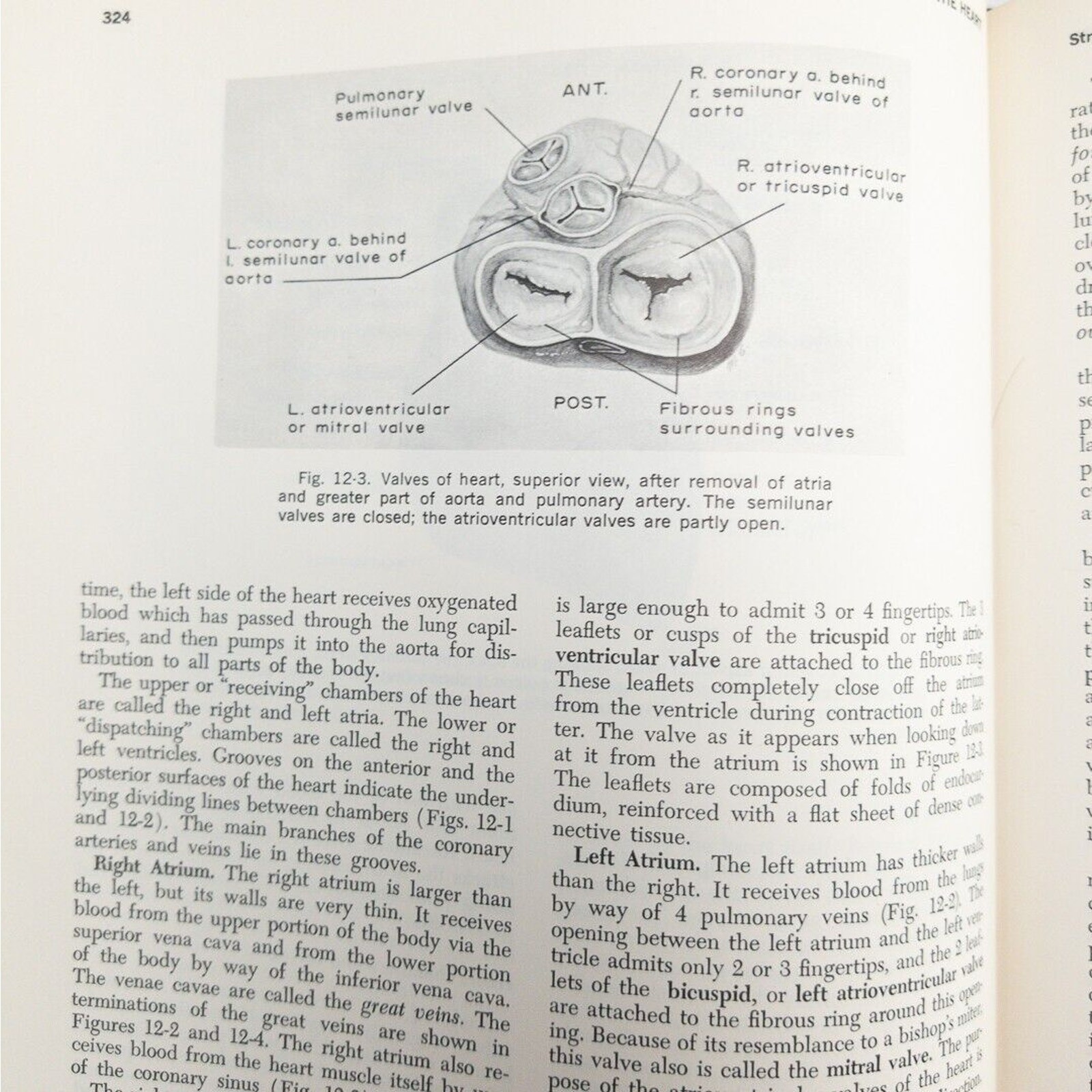 Picture 16 of 22