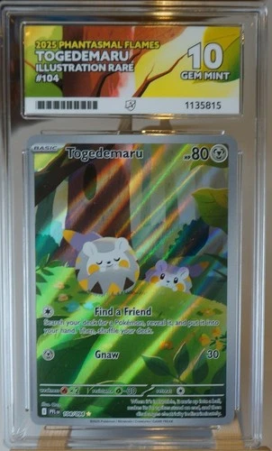 Togedemaru 104/094 IR - Pokémon TCG - 2025 Phantasmal Flames -ACE 10-Perfect Sub