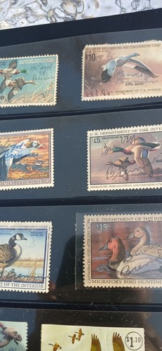 Collection of 24 + US Migratory Bird Hunting Stamps (Duck) RM 4 - RM 64 - Picture 10 of 13