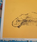 Picture 5 of 7