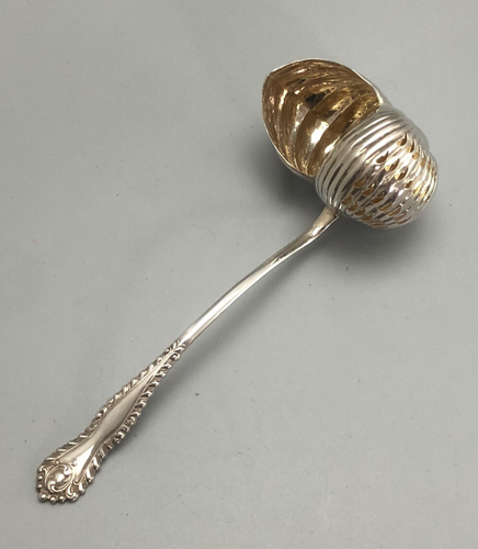 Victorian Silver Nautilus Sifting Spoon George Bowen BIrmingham 1900 FEZX