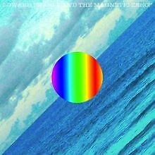 Here von Edward Sharpe  Magnetic Zeros | CD | Zustand gut - Bild 1 von 2