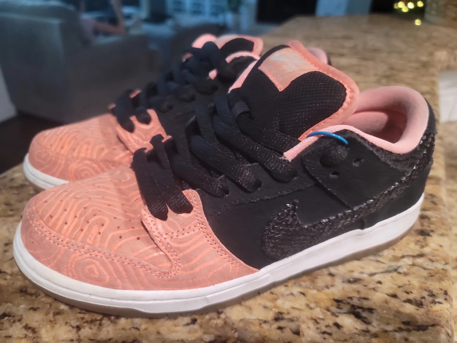 Nike Dunk Low SB Premier Fish Ladder Black Salmon 313170-603 EUC