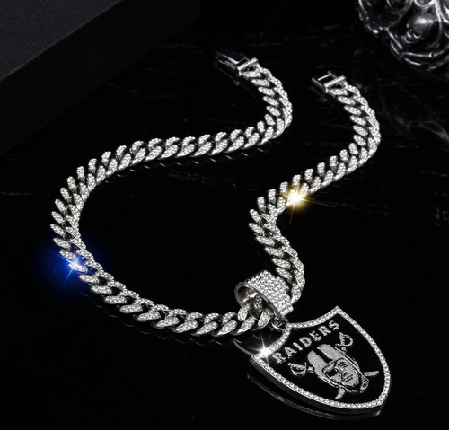 Las Vegas Raiders Edelstein Kette Halskette 24" Gold Silber Anhänger 3,5"x3" Fan Schmuck - Bild 10 von 11
