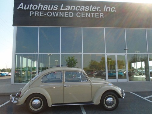1967 Volkswagen BEETLE