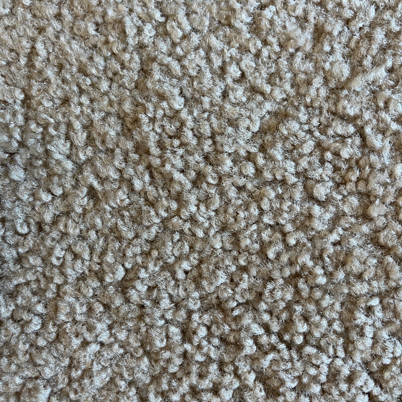 Picture 6 of 10