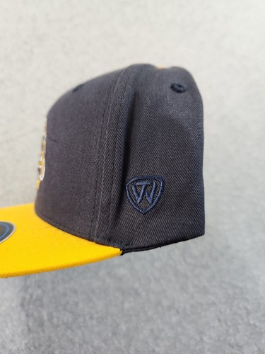 Kent State University YOUTH Gorra Gorra Ajustable Flash Dorado NUEVO - Imagen 4 de 7